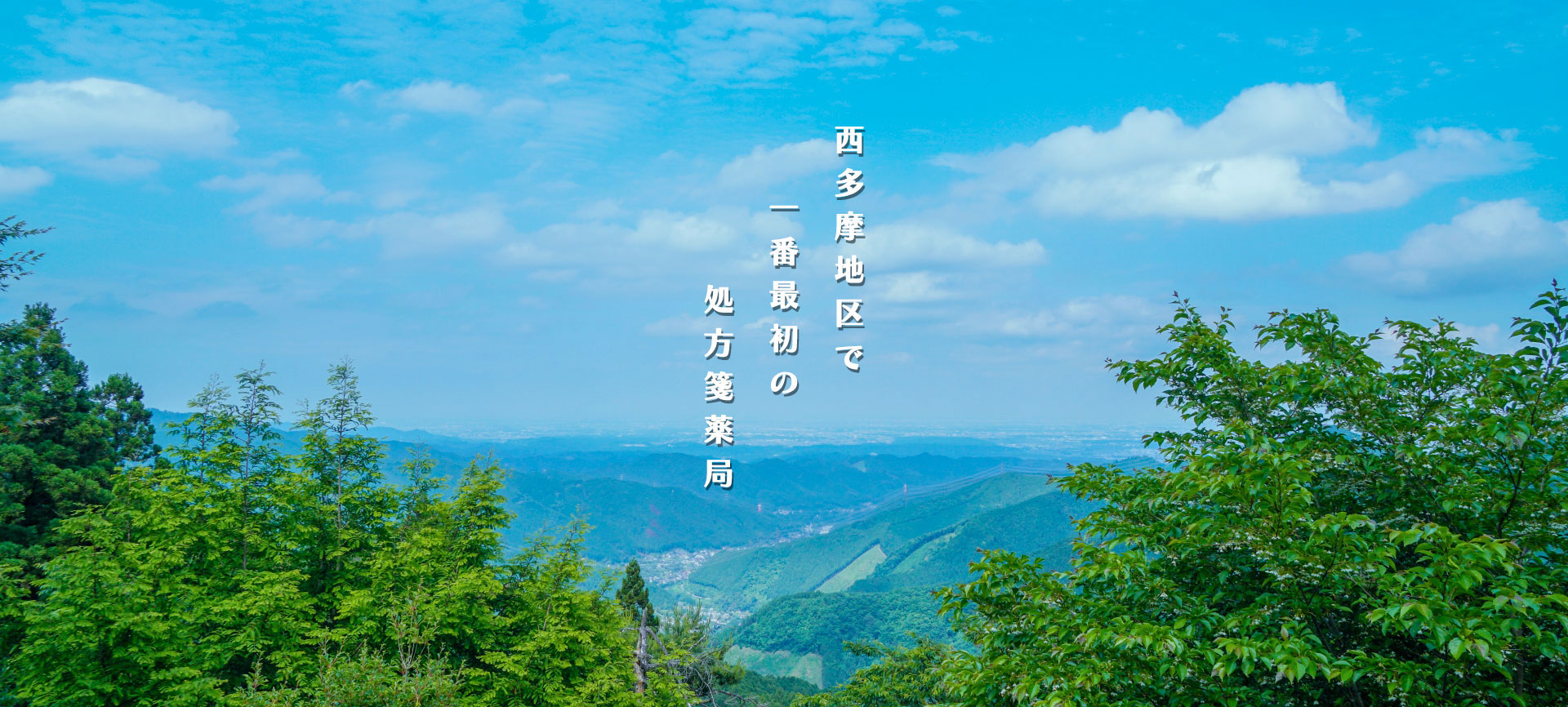 新町薬局　処方箋薬局 薬剤師 青梅 多摩 中央線 タナカ薬局 さくらかぶ薬局